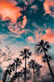 Pin By Lz On Nature Travel In 2020 Summer Beach Wallpaper Beach Wallpaper Tree Wallpaper Iphone