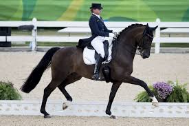 With showtime doro schneider is back on the really big stage of dressage. Ebreichsdorf 81 Prozent Im Grand Prix Special Fur Dorothee Schneider Und Showtime