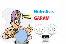 Garam yang berasal dari asam kuat dan basa lemah dalam air mengalami hidrolisis sebagian karena salah satu komponen garam (kation basa lemah) mengalami hidrolisis menghasilkan ion h +,maka ph < 7 sehingga larutan garam bersifat asam. Pengertian Hidrolisis Garam Pelajaran Sekolah Online