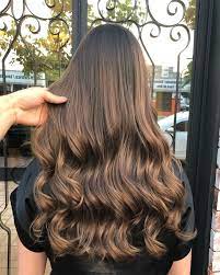 10 Biggest Spring Summer 2020 Hair Color Trends You Ll See Everywhere Ecemella Brown Hair Balayage Hair Styles Balayage Hair