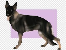Alman Coban Kunming Kurt Kopegi Dogu Avrupa Coban Avustralya Kelpie Ingilizce Oyuncak Terrier Eski Alman Coban Kopegi Memeli Etobur Kopek Gibi Png Pngwing