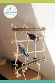 3,508 likes · 4 talking about this. Kletternetz M Nymphensittich Vogel Spielzeug Wellensittich Spielzeug