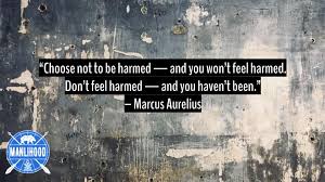 Imagine smiling after a slap in the face. Quotes From The Stoics Manlihood Com