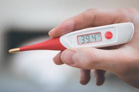 Welpen und sehr junge hunde haben jedoch generell eine grundtemperatur von 39,5° celsius. Fieber Beim Hund Pyrexie Symptome Diagnose Behandlung Zooplus