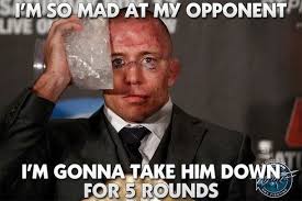 Gsp Meme George St Pierre St Pierre Ufc