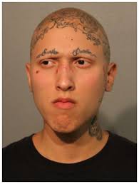 Monday Gunday: Police website to detail accused gun offenders and their  bail amounts