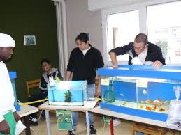 Des étudiants des BTS Aquaculture organisent une bourse aux poissons