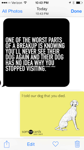 When Your Ex Texts You About Your Dog Imgur