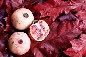 Chiropractor woodbury, mn at 8446 tamarack village, suite #203, 55125. Mabon Journeying With Persephone