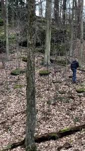 Maybe you would like to learn more about one of these? Bullfrog Mountain Cabin Rentals Llc Home Facebook