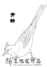 再续 山海经 46 sxllwxl的blog mythological creatures creature concept interesting art