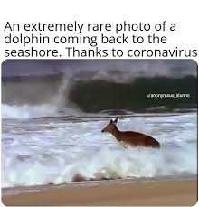 The nature is healing itself! : memes