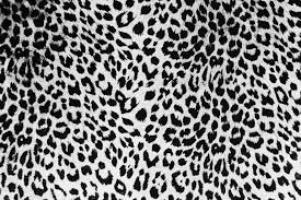 Black And White Leopard Print Free Texture Leopard Skin Jpg 2424 1620 Cheetah Print Wallpaper Cheetah Print Background Print