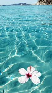 Summer is around the corner. 29 Summer Iphone Wallpaper Ideas To Obsess Over Fancy Ideas About Everything