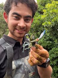 Dealing with unsolicited business advice