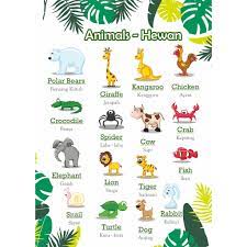 Gambar animasi hewan hewan di kebun binatang. Poster Mengenal Hewan Edu 07 Poster Animasi Poster Custom Poster Edukasi Shopee Indonesia
