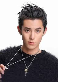 Dylan Wang Facts
