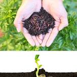 Plant A Seed, Watch It Grow!