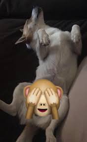 Intruder enters the neighborhood suddenly