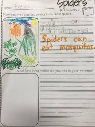 Spiders The Kindergarten All Stars