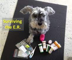 Enter your zip code & find info on low cost vet. Choosing The Best Pet Emergency Hospital