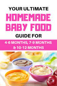 Stage 1 2 And 3 Homemade Baby Food Recipes And Step By Step Guide Baby Food Recipes Homemade Baby Foods Easy Homemade Baby Food