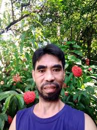 Joseph Manlangit (@joseph.manlangit.488796) • Facebook