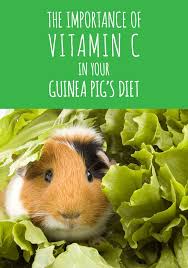 Pin On Blog And Vlog Posts