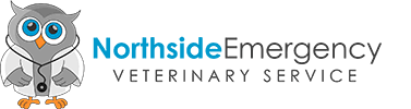 We did not find results for: Northside Emergency Vet Service After Hours Vet Sydney