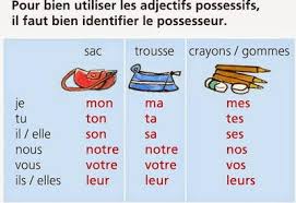 FLE pour tous: LES ADJECTIFS POSSESSIFS