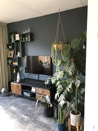 industriele tv kast en veel planten onze woonkamer zosammieenzo thuisdecoratie decoraties woonkamerplanten