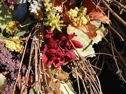 Numbers 23:19 god is not a man, that he should lie, or a son of man, that he. Flowers That Will Last Forever Flower Press