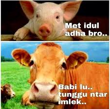 Check spelling or type a new query. 24 Meme Idul Adha Hewan Qurban Lucu Bikin Ngakak Mamikos Info