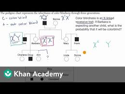 The condition of carrying only one allele for a particular trait is known as hemizygosity (from the greek hemi , meaning half and zygote, referring to the fertilized egg). Pedigree For Determining Probability Of Exhibiting Sex Linked Recessive Trait Video Khan Academy