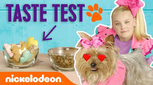 Want to discover art related to jojosiwa? Jojo Siwa Treats Bowbow To Doggie Treat Taste Test Nick Youtube