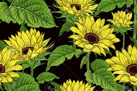 We did not find results for: Sunflowers Floral Seamless Pattern Flowers And Leaves Vector Illustration Vintage Hand Realistic Drawing Decorative Background To Create Paper Wallpaper Summer Textile Royalty Free Cliparts Vectors And Stock Illustration Image 128901453