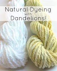 Natural Dye From Plants Dandelion Flowers Fiberartsy Com Natural Dyes Dyeing Tutorials How To Dye Fabric