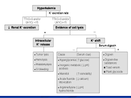 flow chart