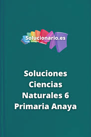 We did not find results for: Soluciones Ciencias Naturales 6 Primaria Anaya 2020 2021 Pdf