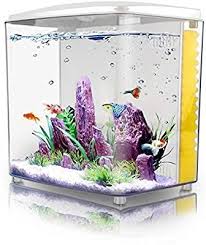 Amazon Com Freesea 1 4gallon Betta Aquarium Starter Kits Square Fish Tank With Led Light And Filter Pump In 2020 Betta Aquarium Square Fish Tank Aquarium Fish Tank