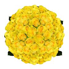Not only is it the colour of sunshine and happiness, yellow flower bouquets make a beautiful sunny addition to any home. Yellow Roses Big Bouquet Of Yellow Roses Find Rose Flowers Globalrose