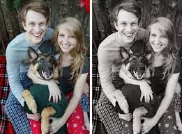 Early Christmas Cheer Dog Christmas Pictures Family Christmas Pictures Dog Christmas Card
