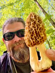 Mushrooms in Yards in Caroline County Virginia