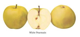 Check spelling or type a new query. Plantfiles Pictures Apple White Winter Pearmain Malus By Amandaemily