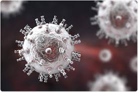 Of the more than 3 million cases of skin cancer diagnosed every year, more than 80 percent are. Rare Skin Cancers