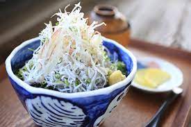 Shirasu-don (rice topped with small sardines) - KANAGAWA | IS JAPAN COOL?