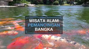 Yuk Wisata Ke Pemancingan Alam Bangka Tengah Ada Terapi Gigitan Ikan Berani Coba Youtube