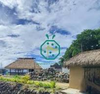 Fiji Bure thatch roof wholesale,Fiji Bure thatch roof ...