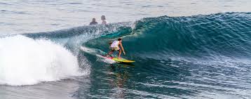 نتیجه جستجوی لغت [surf] در گوگل