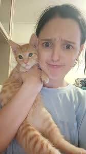 Lost pet in Churchill area?